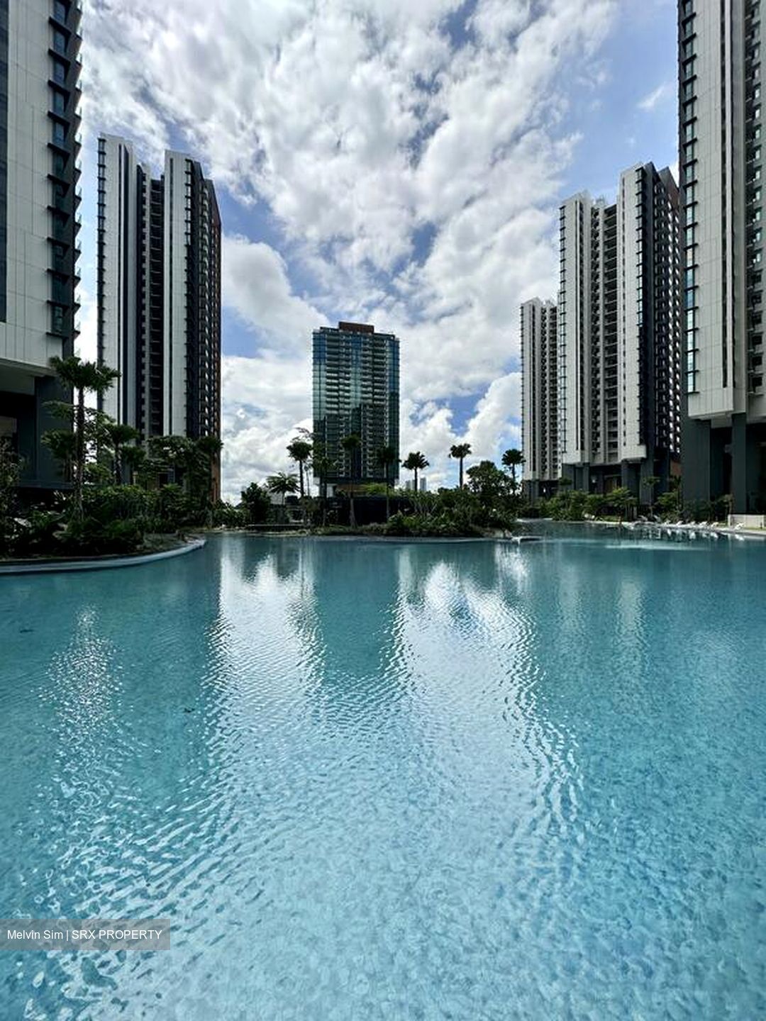 Normanton Park (D5), Apartment #523659331